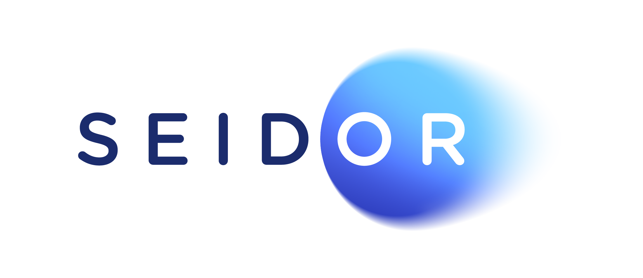 logo-seidor-03